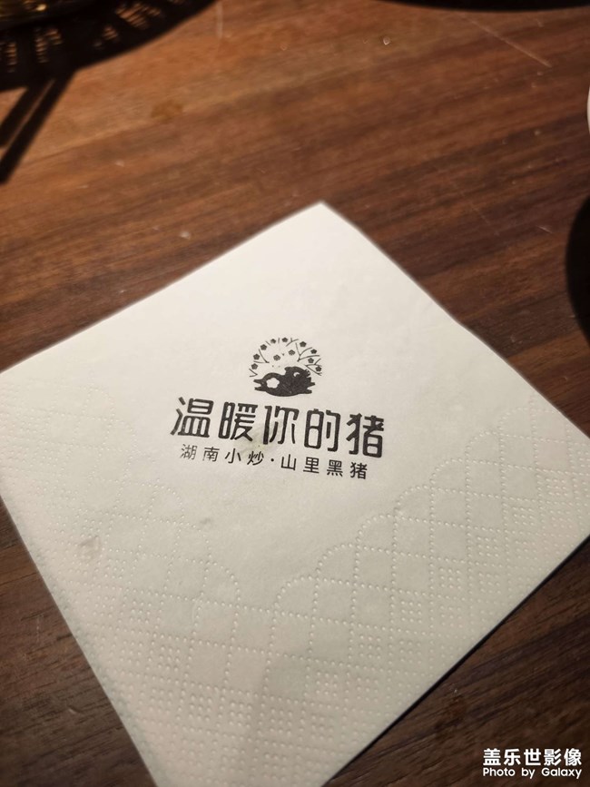 溫暖你的豬