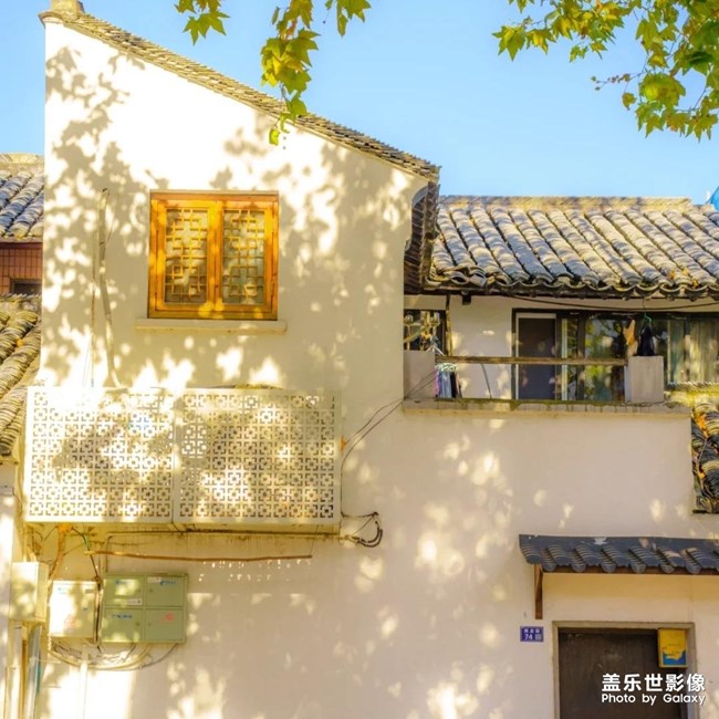 治愈的黃色系