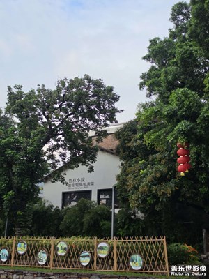 晨跑