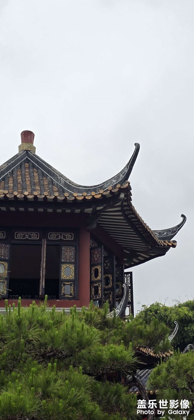 隨手拍
