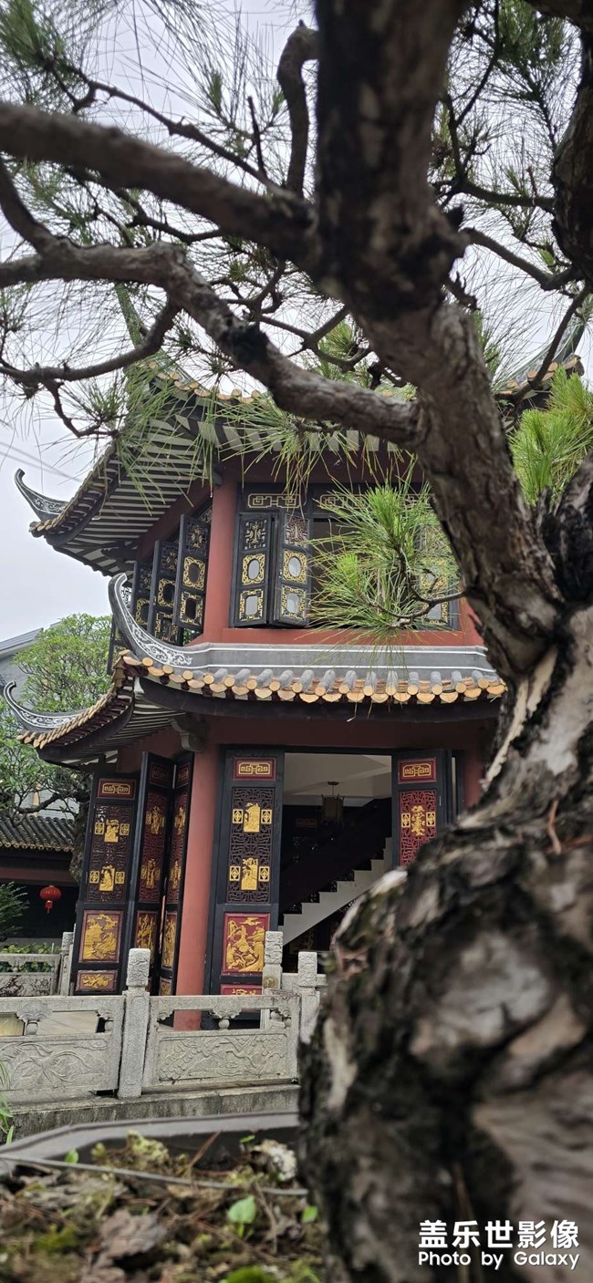 隨手拍
