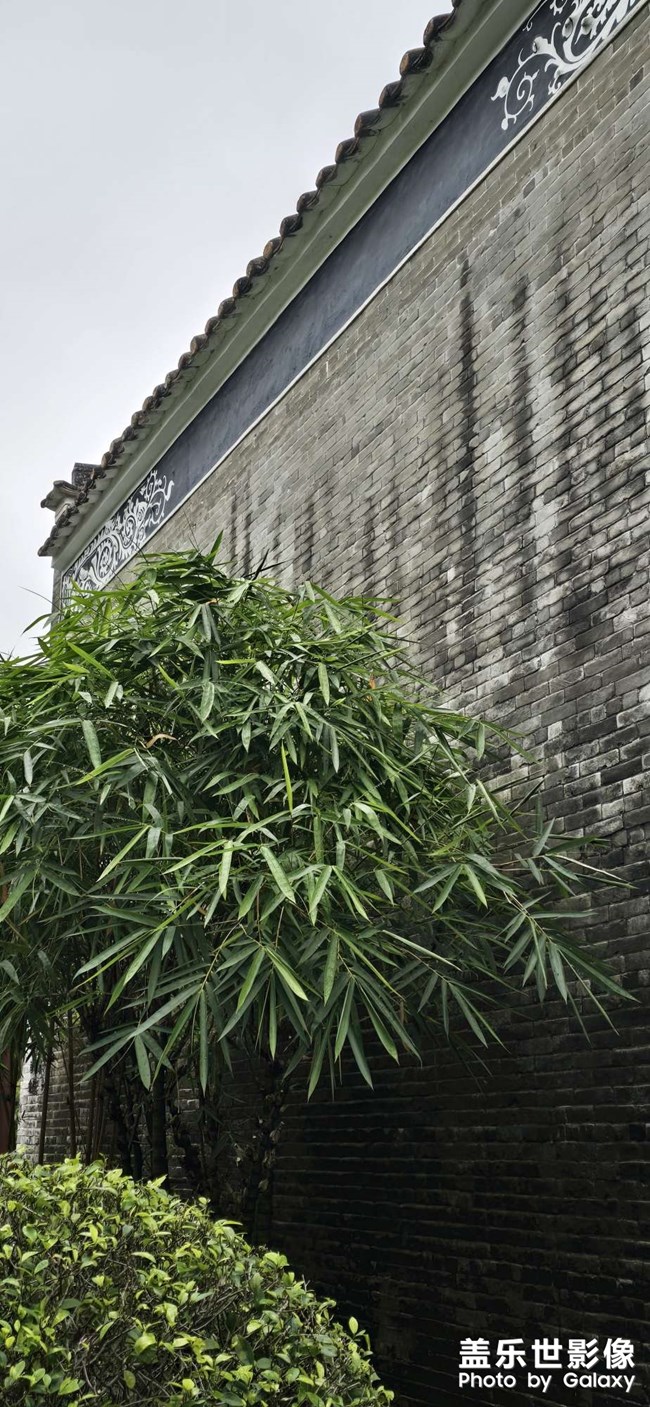 隨手拍