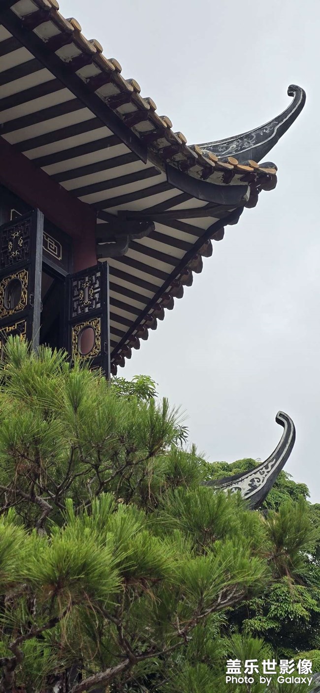 隨手拍