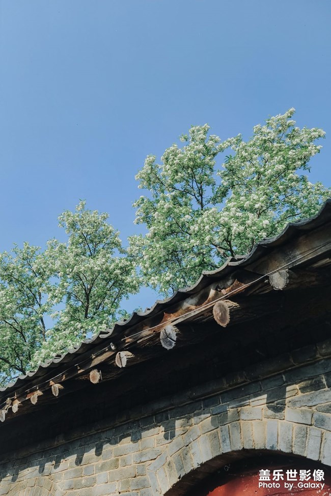 喜欢这样的虚实 很喜欢远处的风车 村落里的槐花香 夏天的风 高级绿