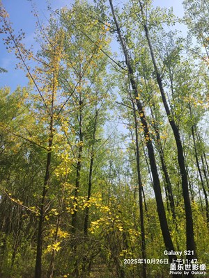 【秋尾拾光】+繽紛秋色