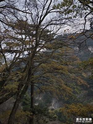 s25u華山拍攝照片