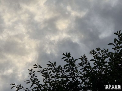 【秋尾拾光】+秋意夢境