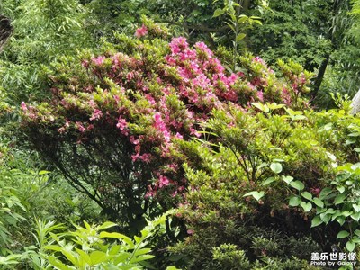 【秋尾拾光】寧?kù)o自然