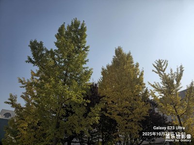 【秋尾拾光】+短暫的秋