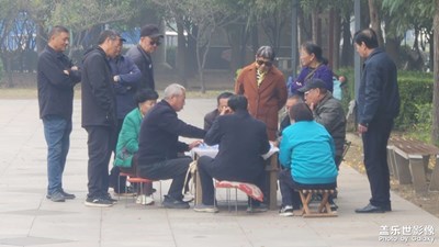 【奇妙的視角】+公園一角