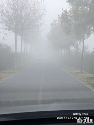 【奇妙的視角】+大霧拍拍拍